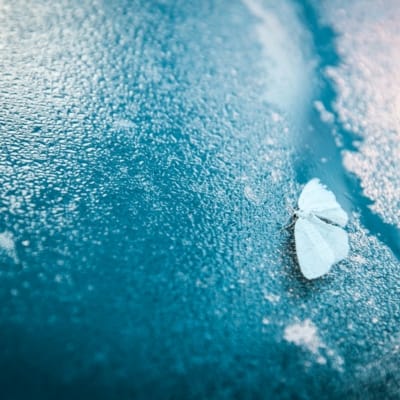 applari-dummy-image-8